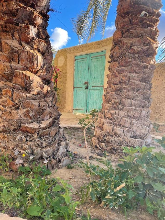 Sleep In Siwa Maison d'hôtes
